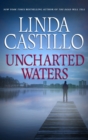 Image for Uncharted waters