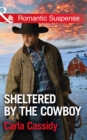 Image for Sheltered by the cowboy