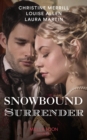 Image for Snowbound surrender : 1