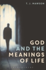 Image for God and the meanings of life: what God could and couldn&#39;t do to make our lives more meaningful