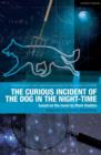 Image for The curious incident of the dog in the night-time  : the play