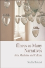 Image for Illness as many narratives: arts, medicine and culture