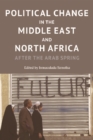 Image for Political Change in the Middle East and North Africa: After the Arab Spring