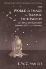 Image for The world of image in Islamic philosophy  : Ibn Sina, Suhrawardi, Shahrazuri and beyond