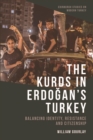 Image for The Kurds in Erdogan&#39;s Turkey: balancing identity, resistance and citizenship