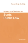 Image for Avizandum Statutes on Scots Public Law