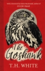 Image for The goshawk