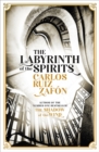 Image for The labyrinth of the spirits