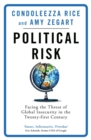 Image for Political risk  : facing the threat of global insecurity in the twenty-first century