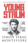 Image for Young Stalin
