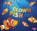 Image for Clown fish