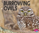 Image for Burrowing Owls