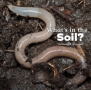 Image for What&#39;s in the Soil?