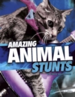 Image for Amazing animal stunts