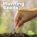 Image for Planting Seeds