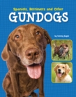Image for Spaniels, retrievers and other gundogs