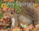 Image for Grey Squirrels