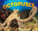 Image for Octopuses