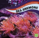 Image for Sea Anemones