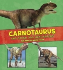 Image for Dinosaur Fact Dig Pack B of 4