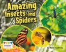 Image for Amazing Insects and Spiders