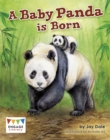 Image for A Baby Panda is Born