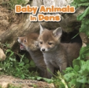 Image for Baby Animals in Dens