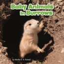 Image for Baby animals in burrows