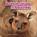 Image for Baby animals in pouches