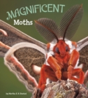 Image for Magnificent Moths