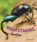 Image for Breathtaking beetles