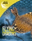 Image for Flying Dragons