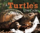 Image for A turtle&#39;s life cycle