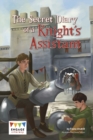 Image for The secret diary of a knight&#39;s assistant