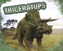 Image for Triceratops