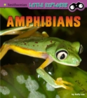 Image for Amphibians