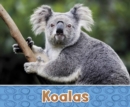 Image for Koalas
