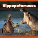 Image for Hippopotamuses