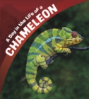 Image for A Day in the Life of a Chameleon
