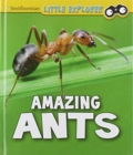 Image for Insect Explorer Pack A of 6