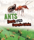 Image for Ants  : secrets of their cooperative colonies