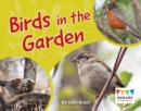 Image for Birds in the yard