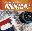 Image for What Is Magnetism?