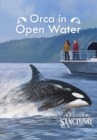 Image for Orca In Open Water