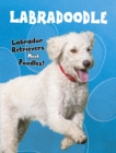 Image for Labradoodle : Labrador Retrievers Meet Poodles!