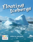 Image for Floating icebergs