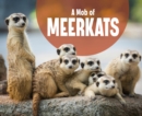 Image for A Mob of Meerkats