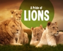 Image for A Pride of Lions