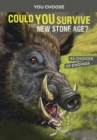 Image for Could you survive the New Stone Age?  : an interactive prehistoric adventure