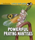 Image for Powerful Praying Mantises